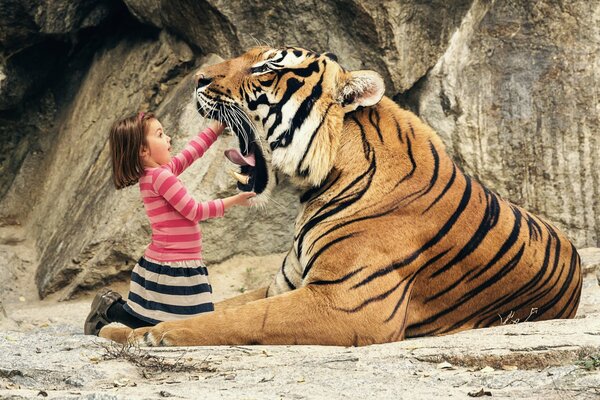 Kleines Mädchen schaut in den Mund eines Tigers