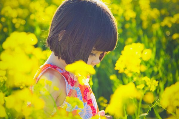 Mädchen im Sommer im Feld mit Blumen