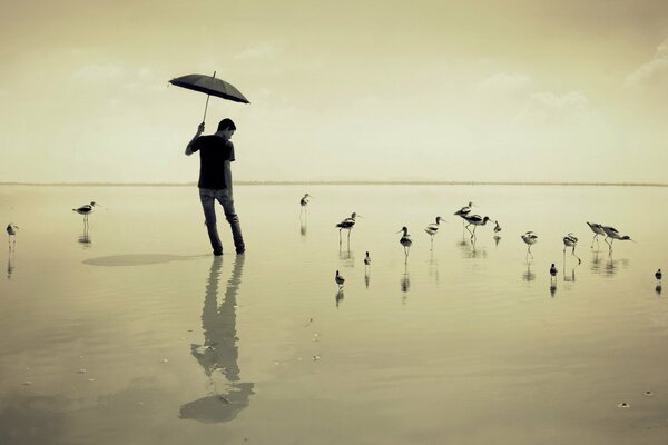 Mann mit Regenschirm am Strand in der Ferne Vögel