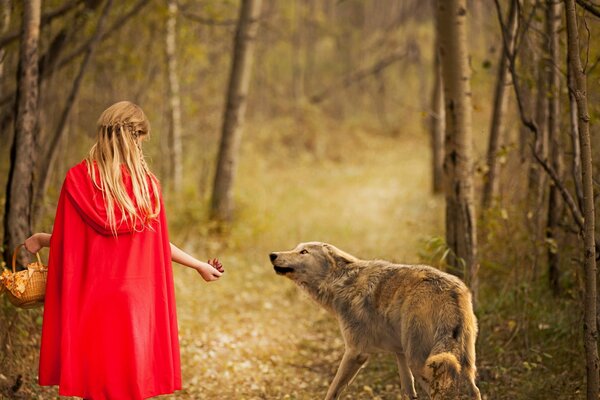 Petit Chaperon rouge attire un loup dans la forêt