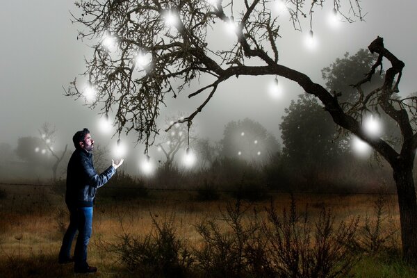 L homme se tient près de l arbre avec des ampoules