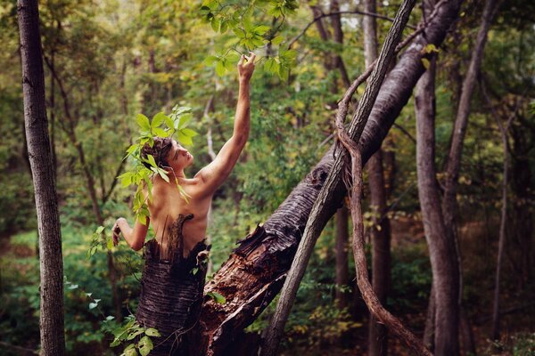 The guy portrays a tree in the forest