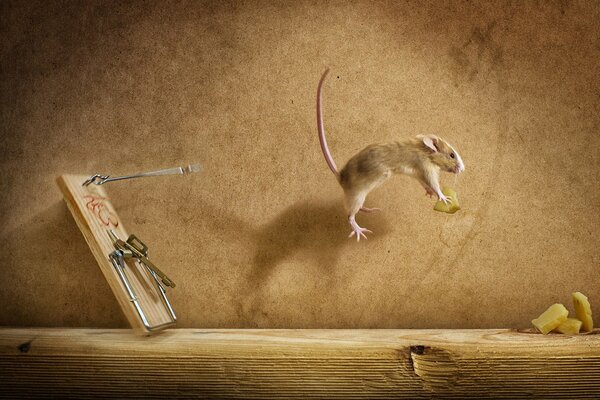 The mousetrap worked, but the mouse did not get caught