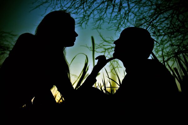 Silhouettes of a guy and a girl in the grass