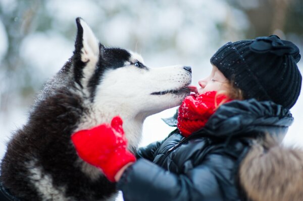 Süßes Porträt eines Kindes mit einem Husky-Hund