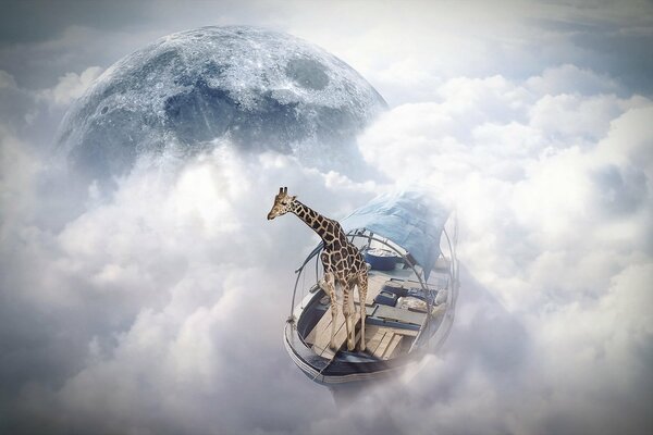 Giraffe schwimmt auf einem Schiff in den Wolken