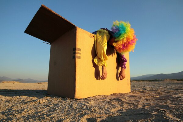 L homme en perruque de clown est sorti de la boîte