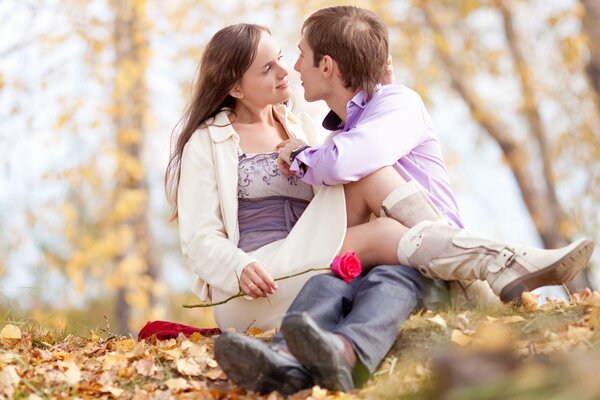 Paar gelbe Laub Herbstwald und Rose