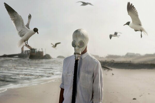 Les oiseaux de mer avec un homme et un masque à gaz