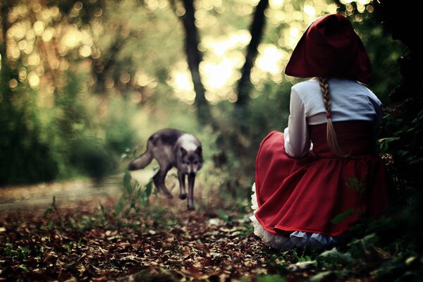 Le petit chaperon rouge et le loup gris