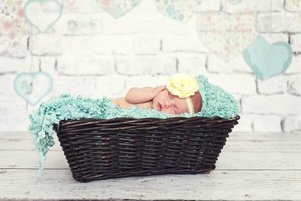 Il bambino dorme in un cestino. Servizio fotografico