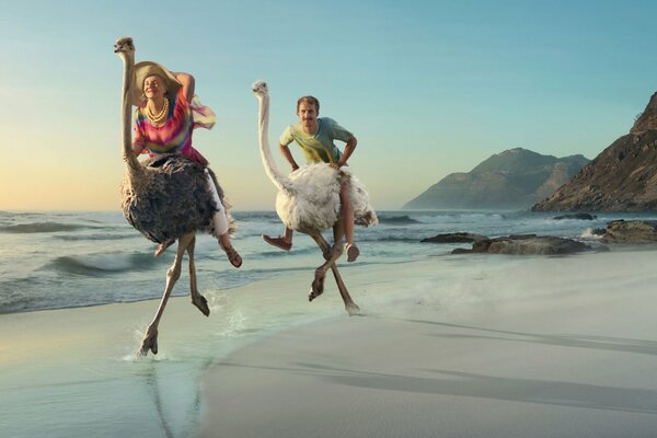 Мужчина и женщина едут на страуса по берегу
