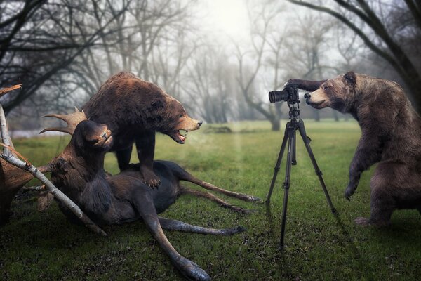 Un meved ha calpestato un alce e posa, mentre un secondo lo riprende con la fotocamera su un treppiede