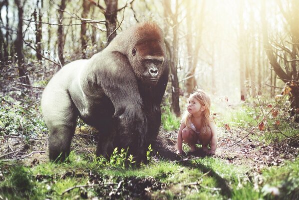 Niña se pone en cuclillas en el bosque y Mira a un gorila