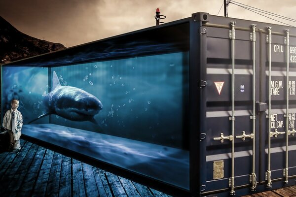 Le garçon près de conteneur maritime avec le requin