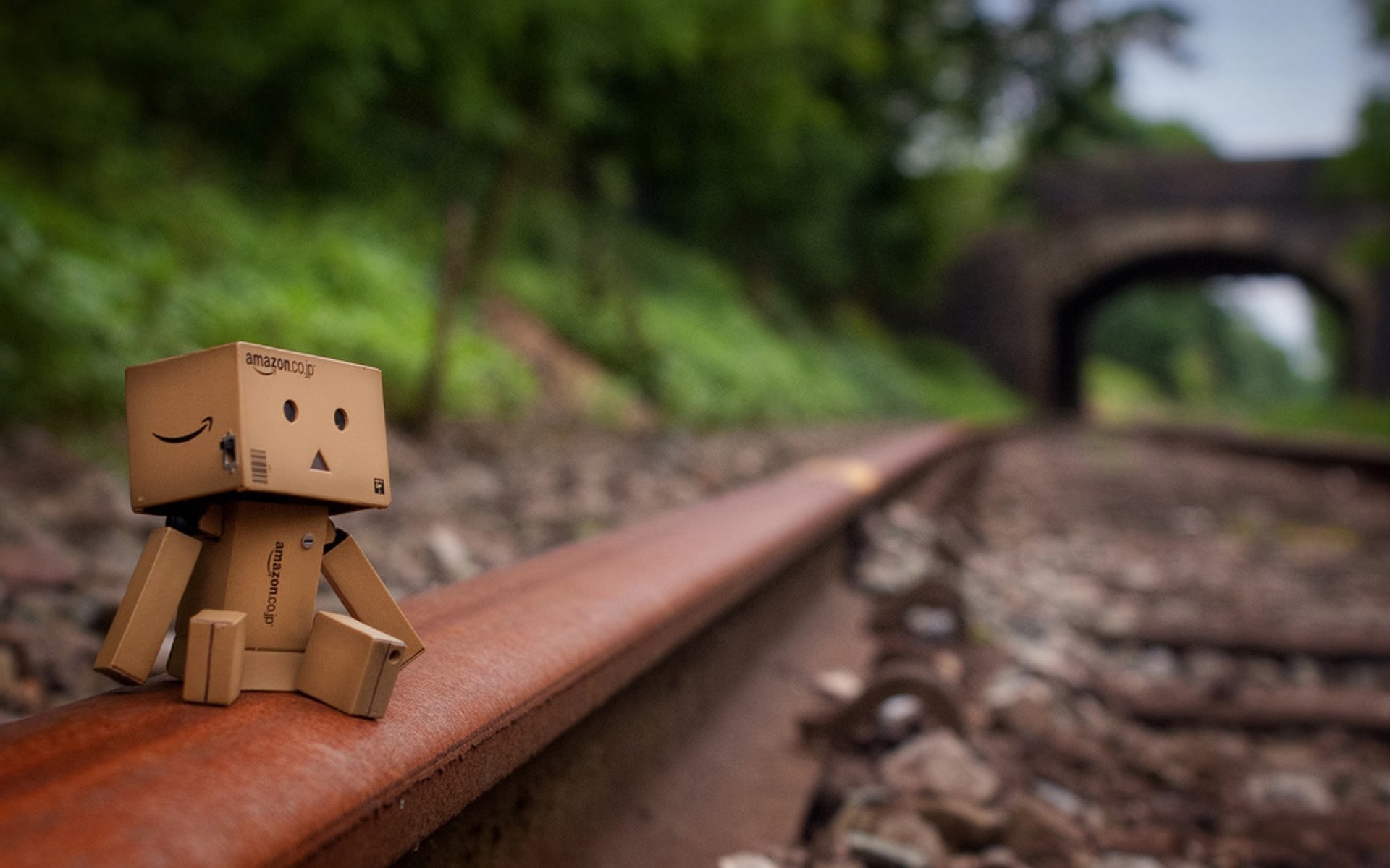 danbo pudełko szyny smutek