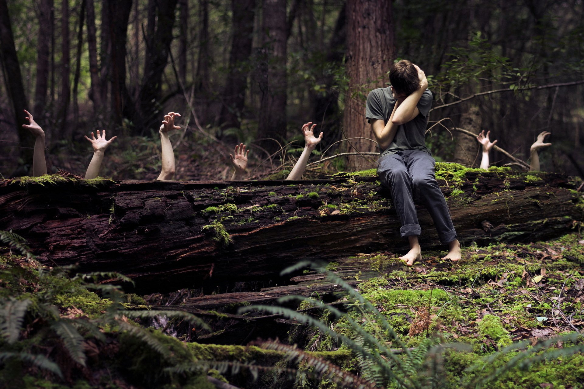 la forêt les gars les mains les peurs la situation