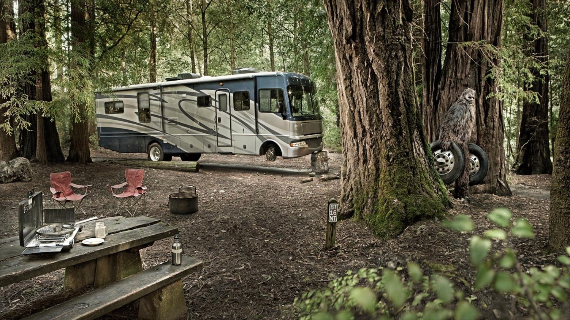 bosque camping autobús ruedas yeti