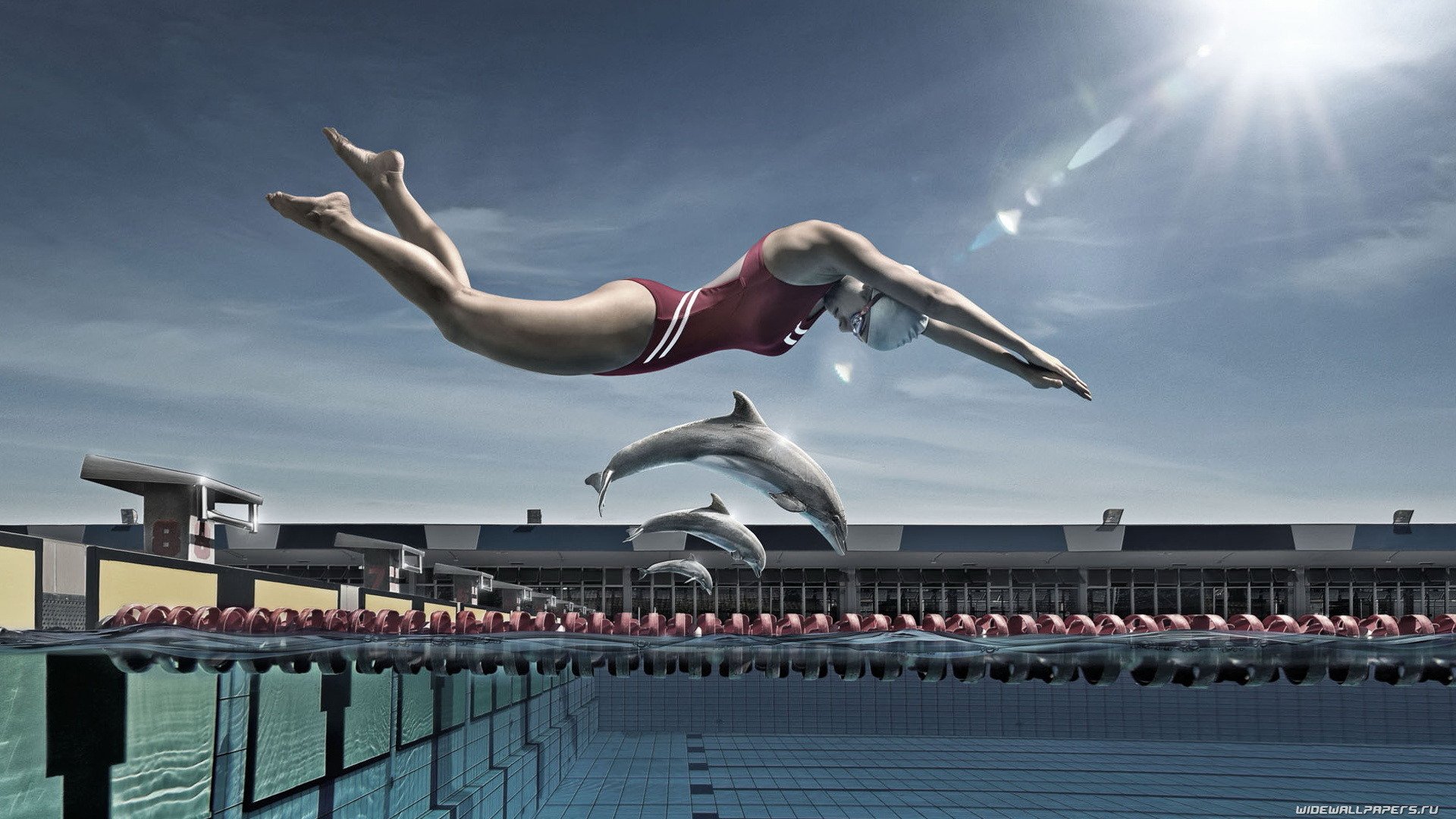 divers créatif fille dauphins piscine