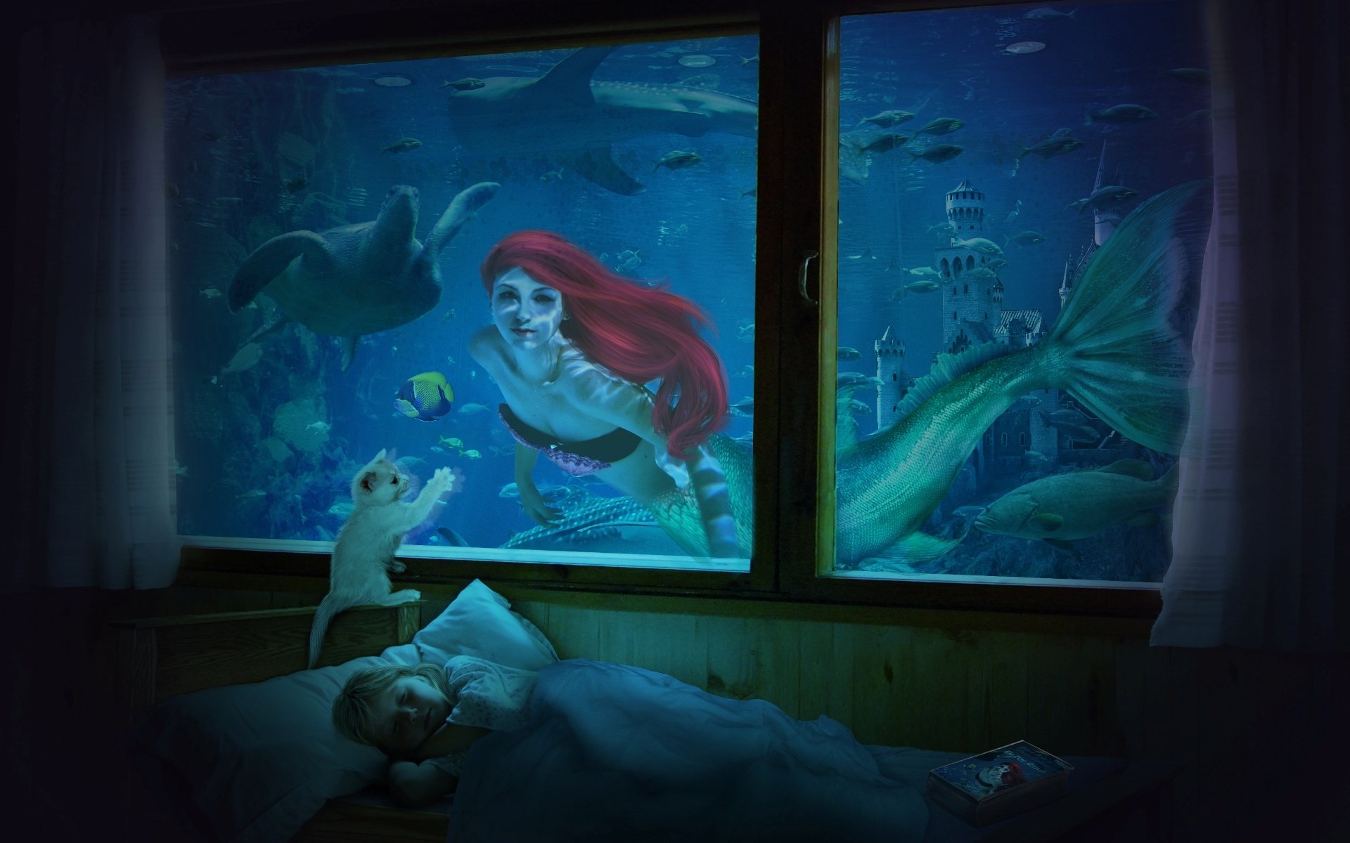 room sleeping window cat book mermaid turtle fish