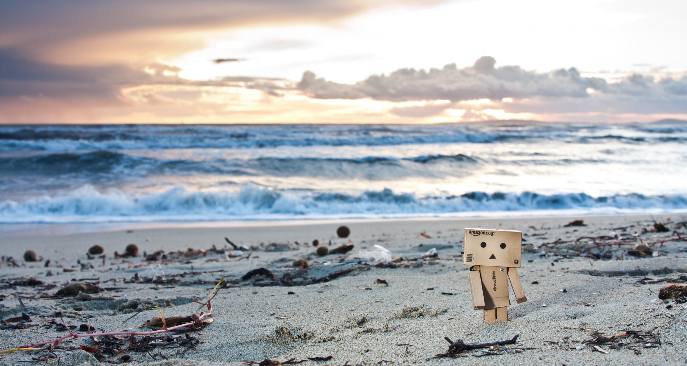 danbo данбо пляж закат фигурка игрушка песок водоросли