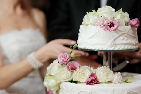 The bride cuts the wedding cake