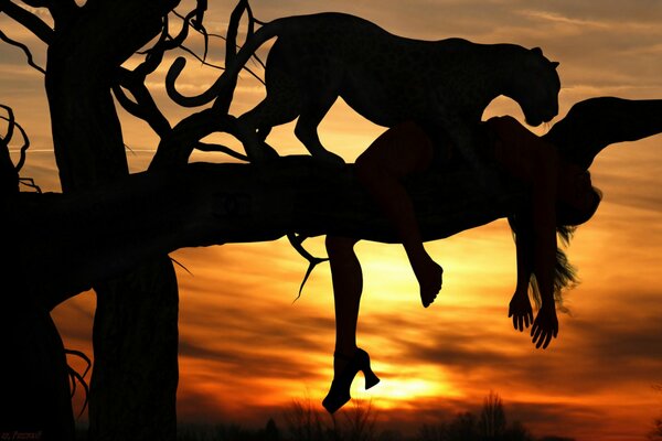 Tiger caught a girl on a branch