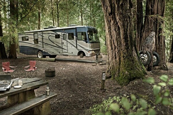 Dans la forêt, il y a un bus sans roues avant