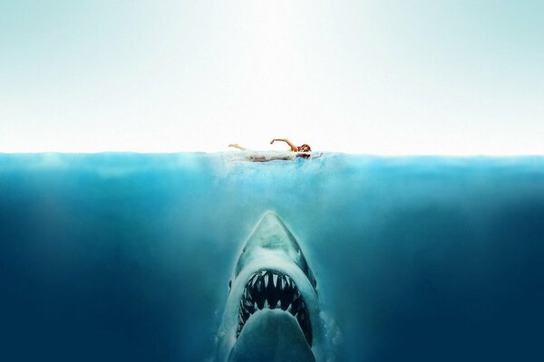 A girl swims over a shark in the blue sea
