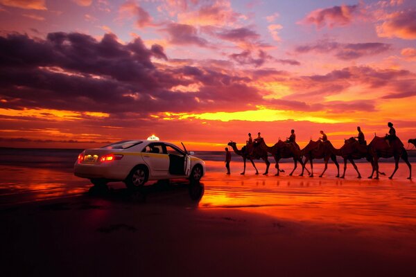 Taxi and caravan in the cloud desert