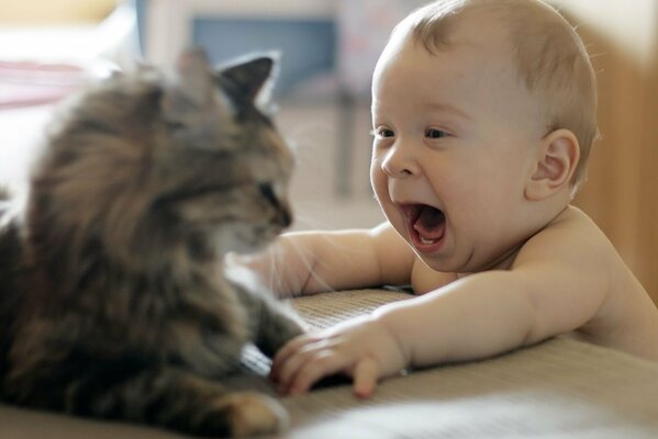 The kid is happily playing with the cat