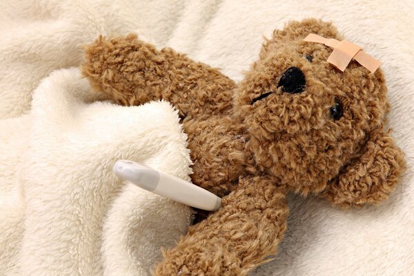 Teddybär mit Thermometer im Bett