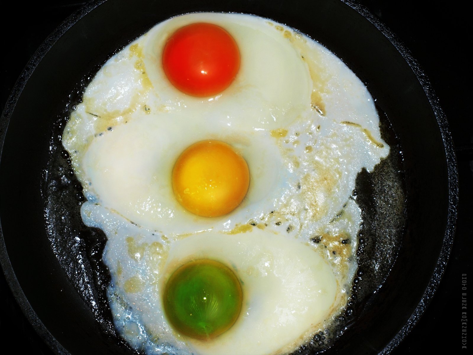 sygnalizacja świetlna pyszne jajecznica kolor