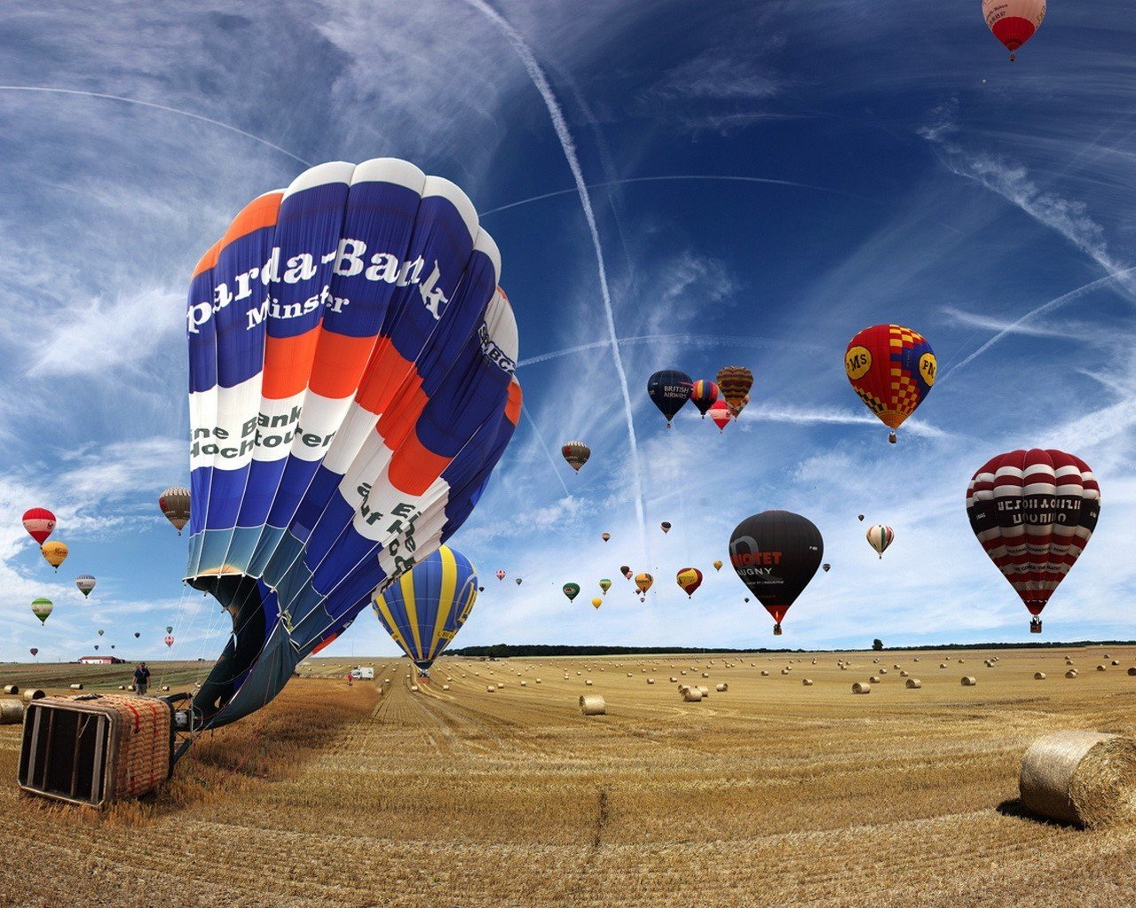 balloons the field sky