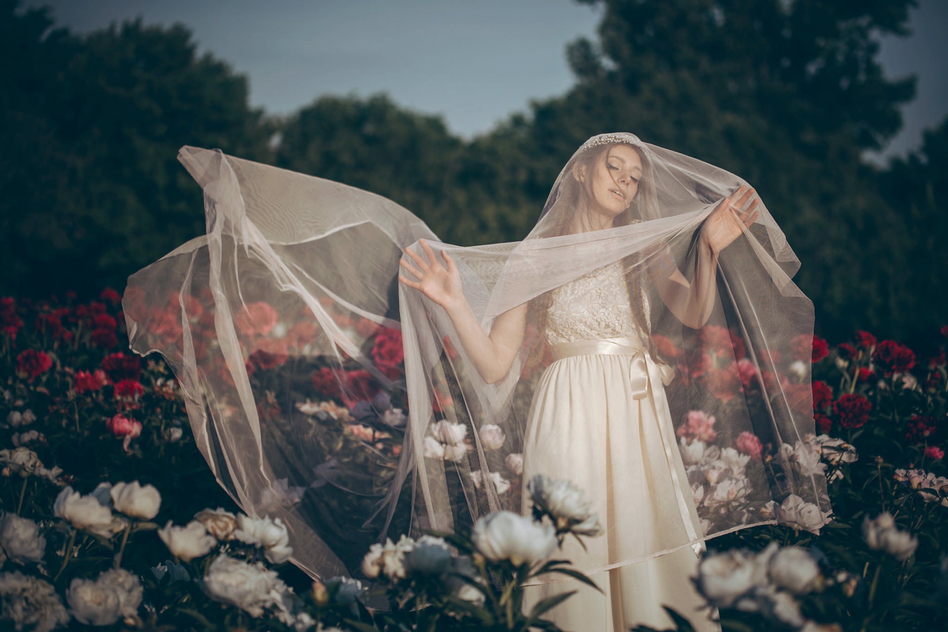 braut hochzeitskleid schleier stimmung blumen pfingstrosen