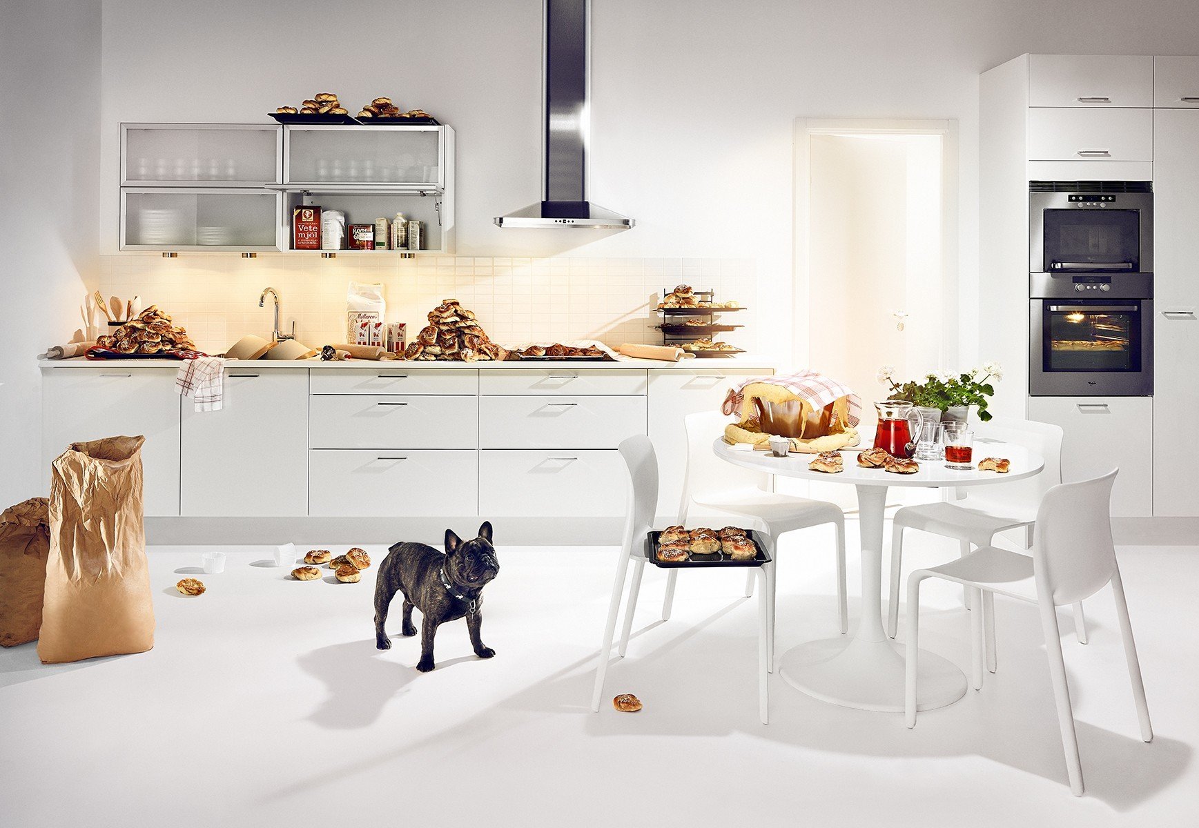 cucina cottura bulldog