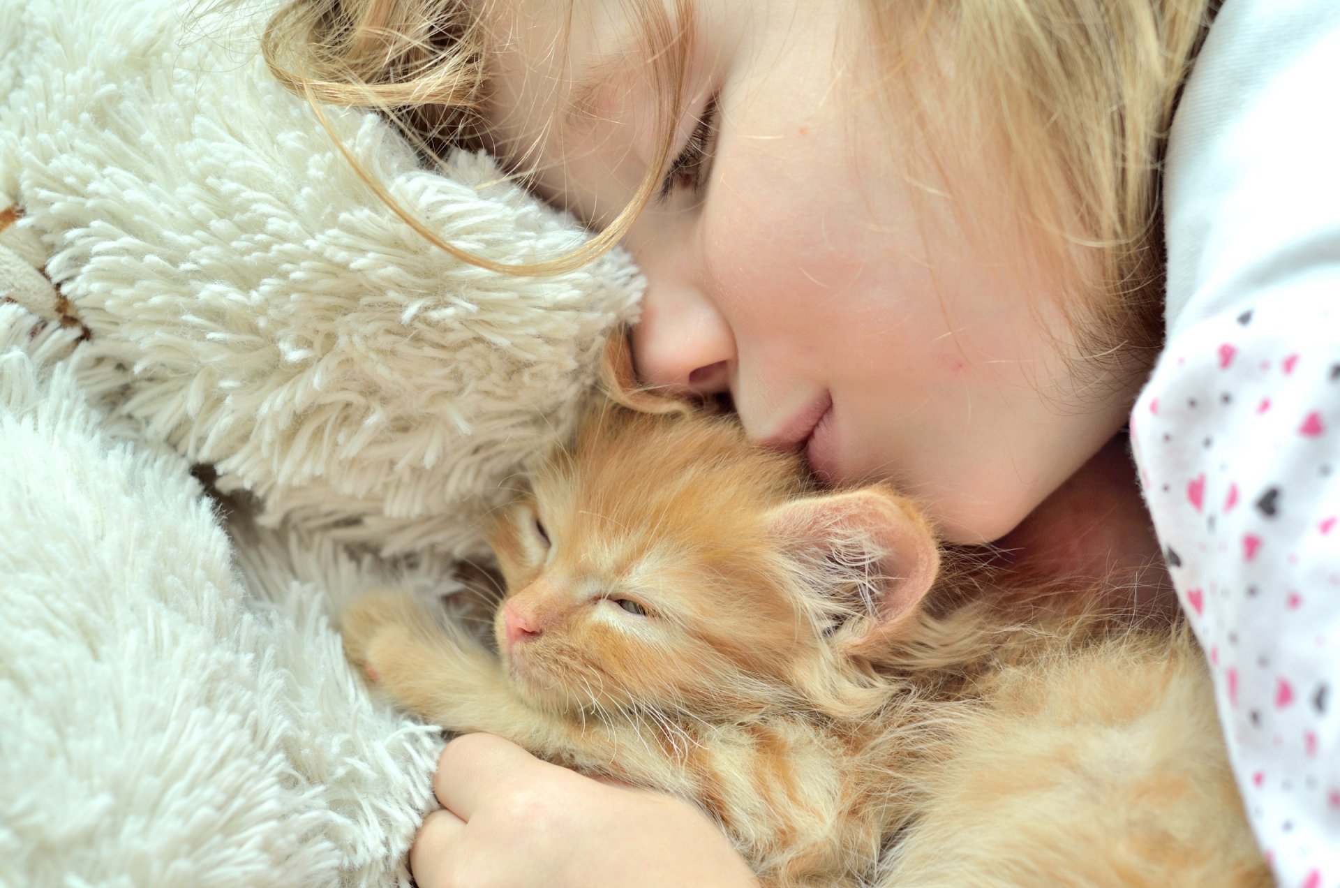 girl kitten friends love care