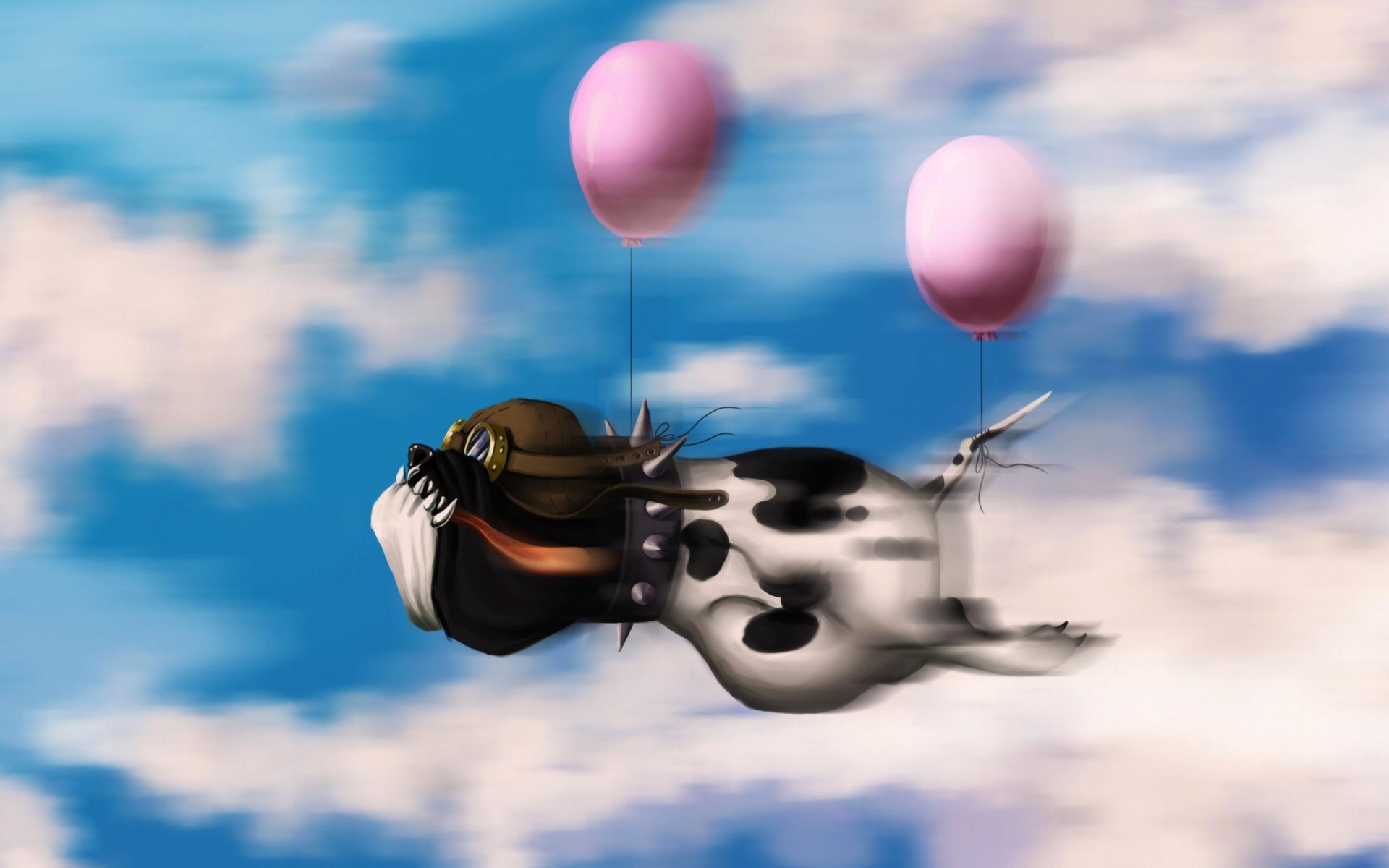 perro piloto globos cielo nubes