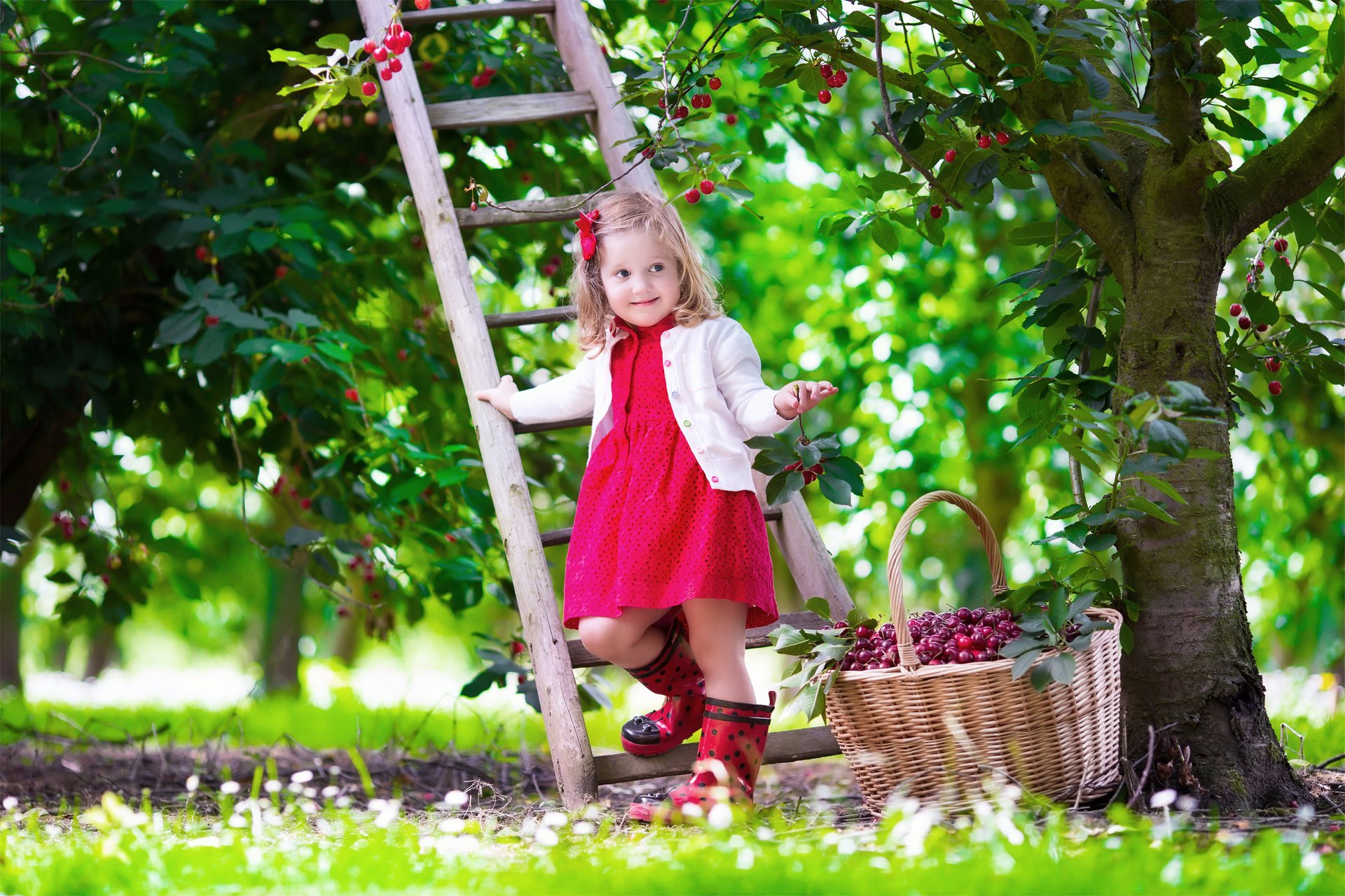 enfant la jeune fille le cerisier le jardin tout à fait en été une fille une robe un escalier l été de l humeur