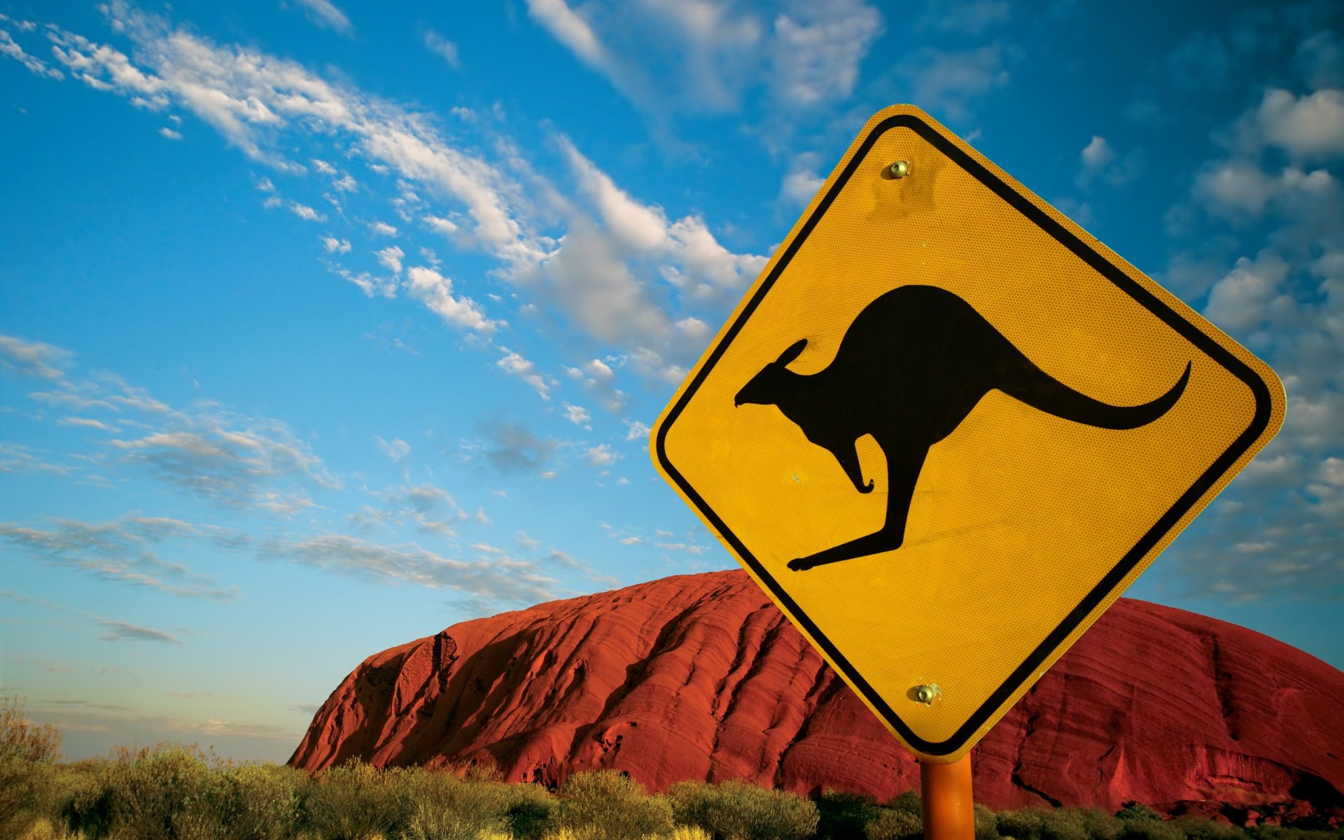 le signe le kangourou australie