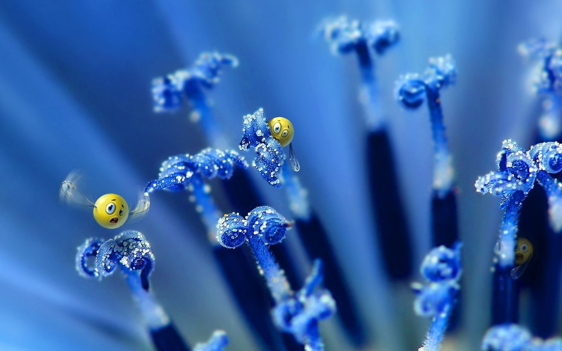 sonrisas flor azul