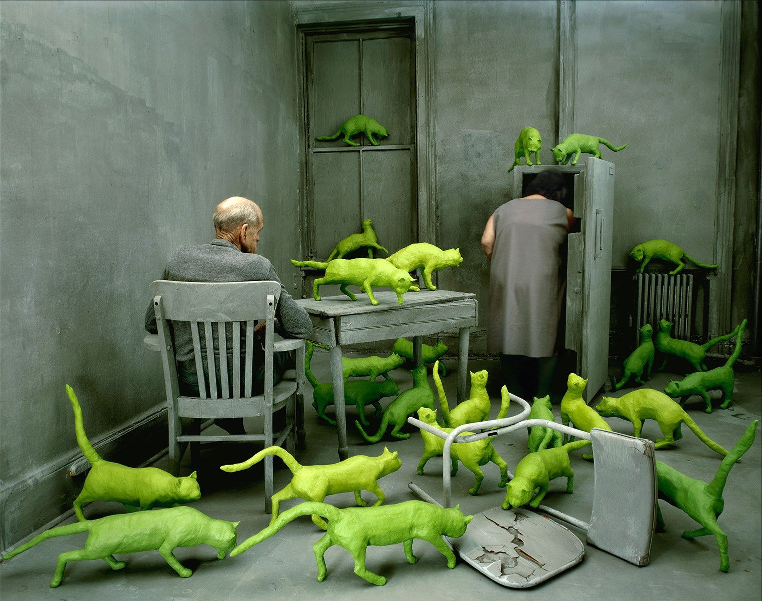 andy skoglund gray room the pair green cats obsession