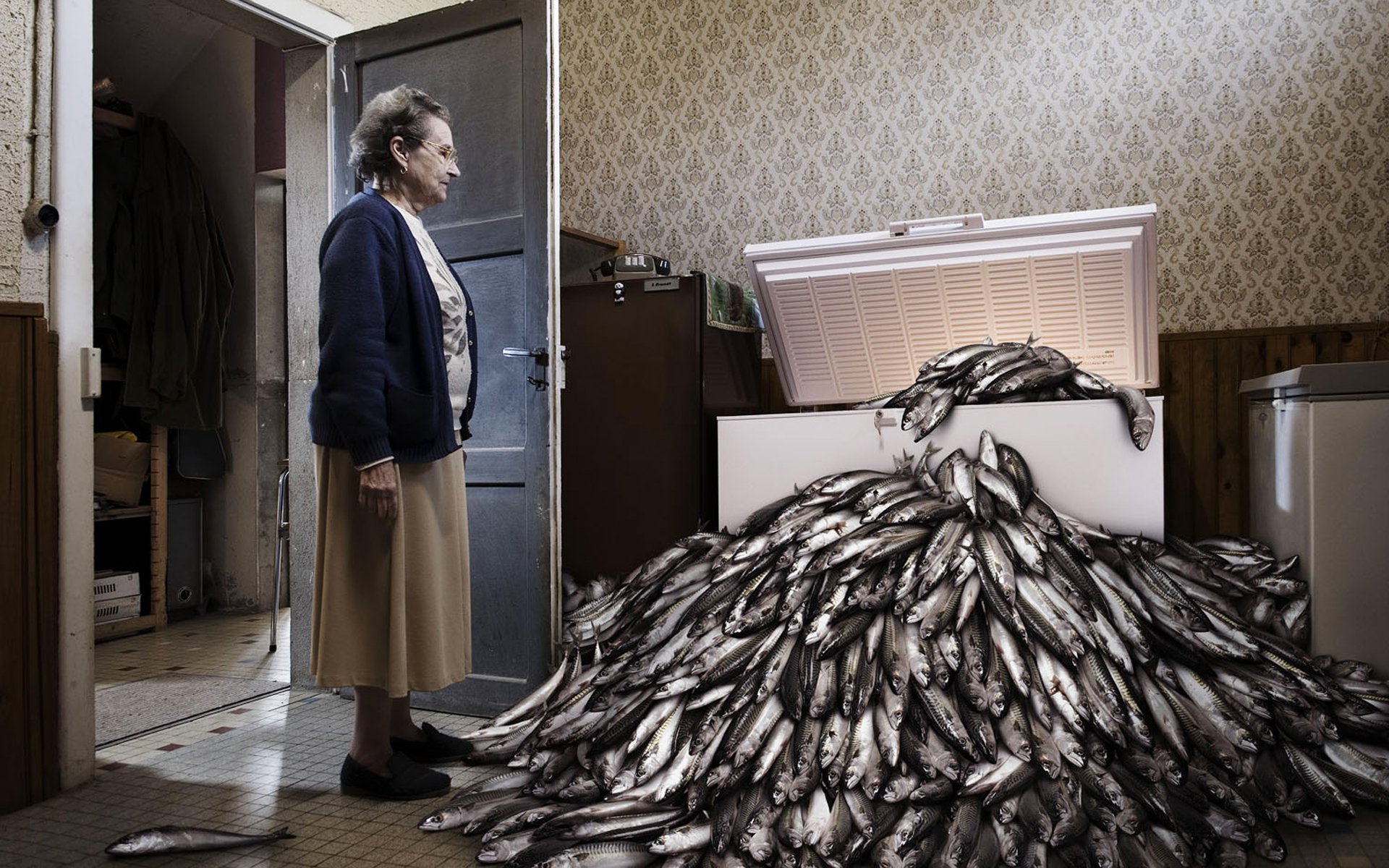 roman laurent romain laurent creativo nevera anciana pescado montaña pila mucho humor