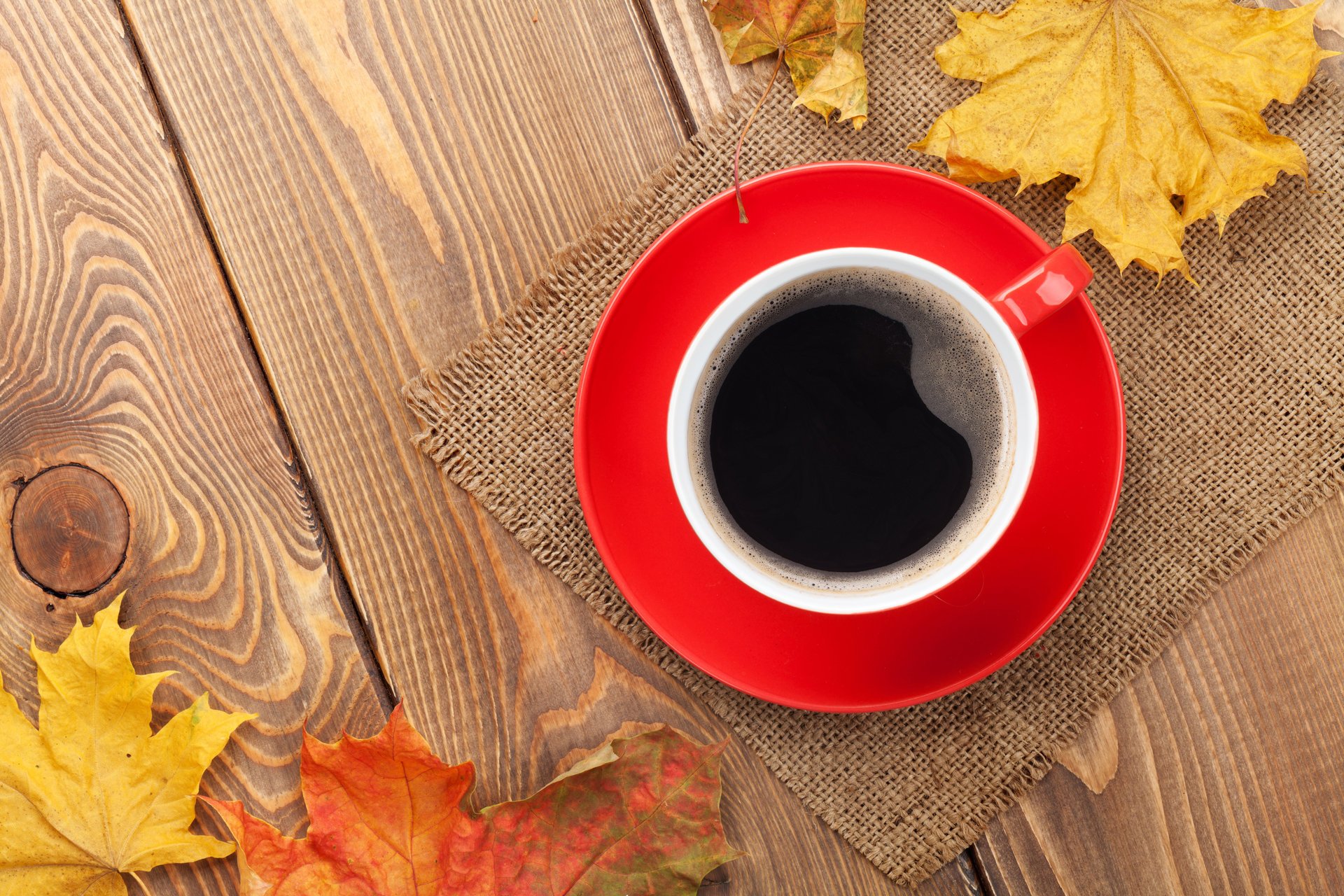 autumn fall leaves maple cup coffee autumn leave