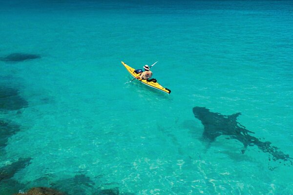 Ein Hai, der hinter einem Boot im Meer schwimmt