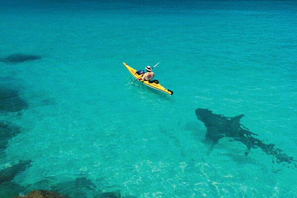 Requin плывущая le bateau dans la mer