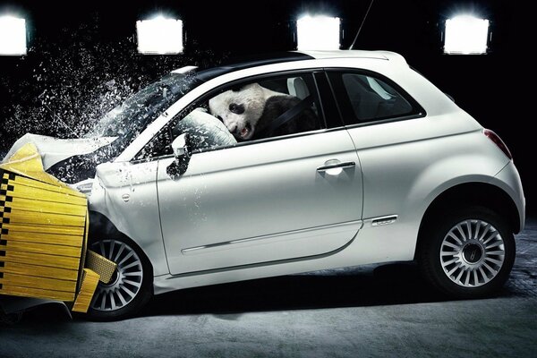 Le panda ne peut pas planter derrière le volant et sans crash-test, le résultat est clair