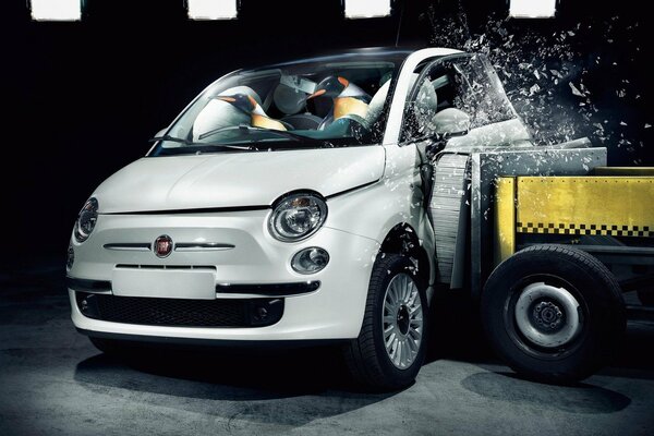 Pinguini Crashtest in Fiat Bianca