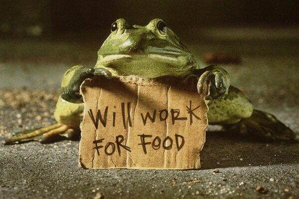 Der Frosch mit der Ankündigung werde für das Essen arbeiten