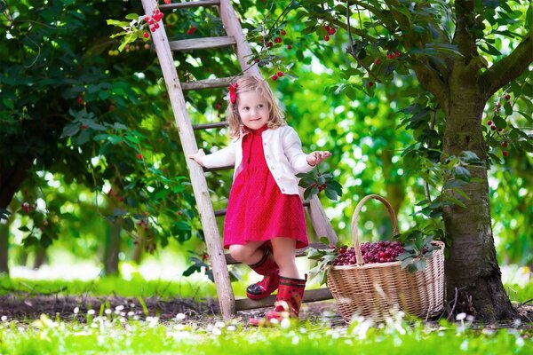A little girl in a summer garden